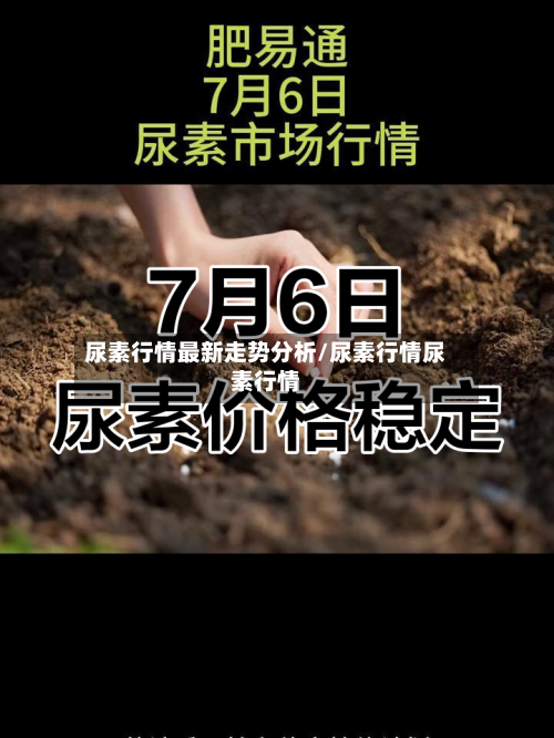 尿素行情最新走势分析/尿素行情尿素行情
