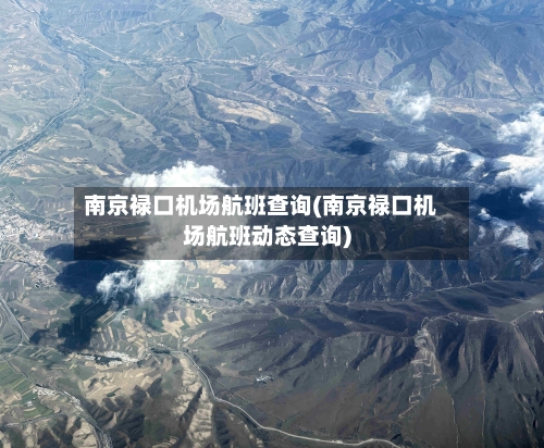 南京禄口机场航班查询(南京禄口机场航班动态查询)