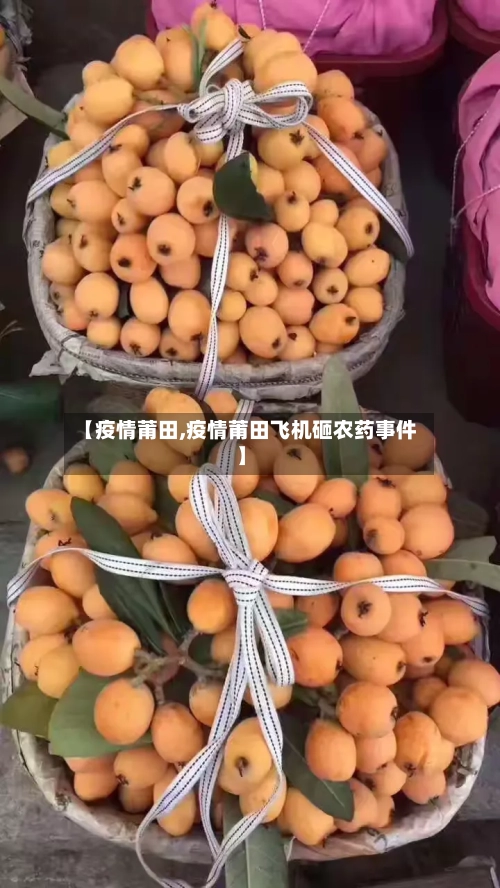 【疫情莆田,疫情莆田飞机砸农药事件】