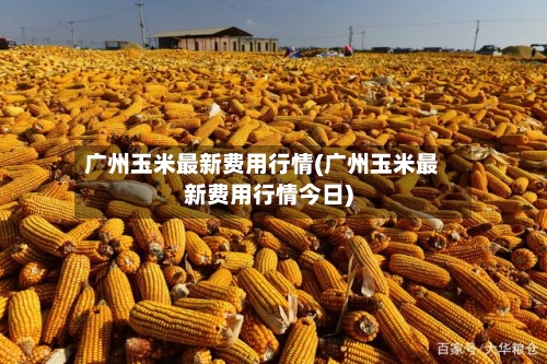 广州玉米最新费用行情(广州玉米最新费用行情今日)