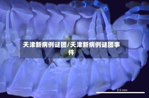 天津新病例谜团/天津新病例谜团事件