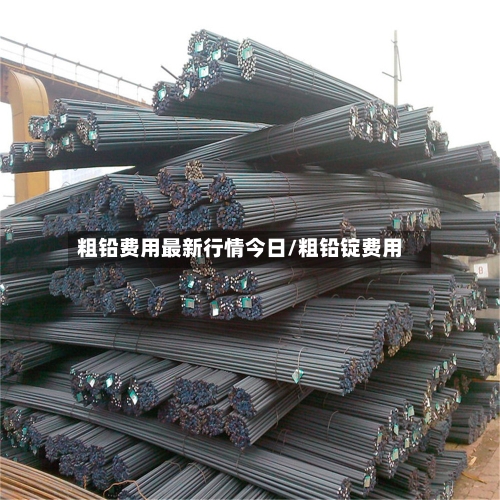 粗铅费用最新行情今日/粗铅锭费用