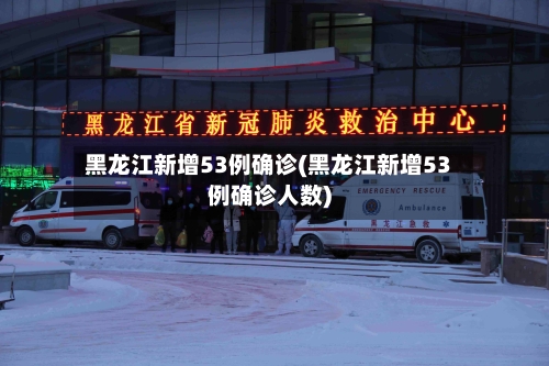 黑龙江新增53例确诊(黑龙江新增53例确诊人数)