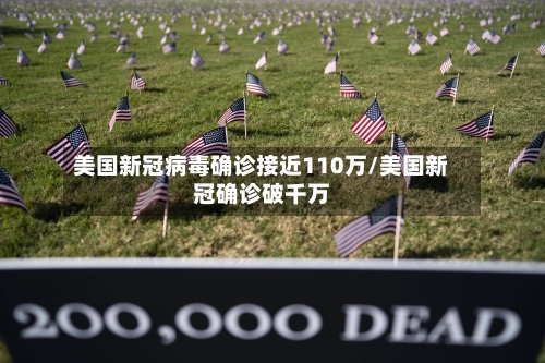 美国新冠病毒确诊接近110万/美国新冠确诊破千万