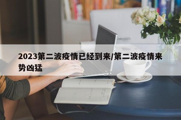 2023第二波疫情已经到来/第二波疫情来势凶猛