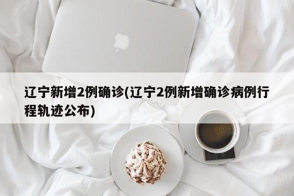 辽宁新增2例确诊(辽宁2例新增确诊病例行程轨迹公布)