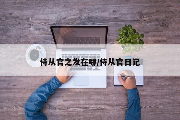 侍从官之发在哪/侍从官日记