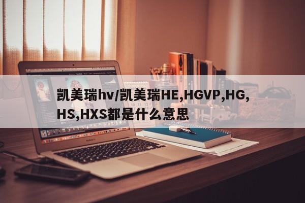 凯美瑞hv/凯美瑞HE,HGVP,HG,HS,HXS都是什么意思