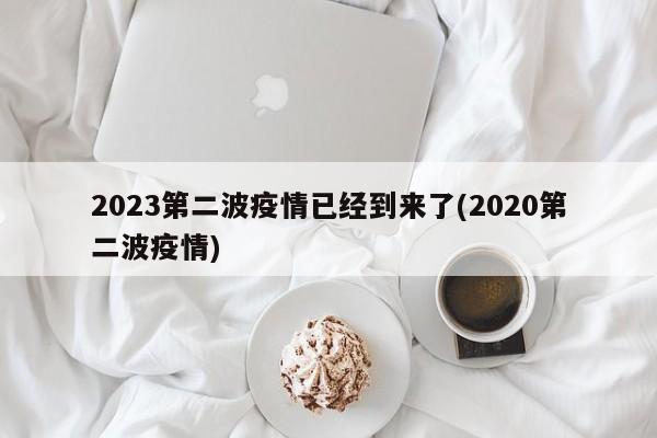 2023第二波疫情已经到来了(2020第二波疫情)
