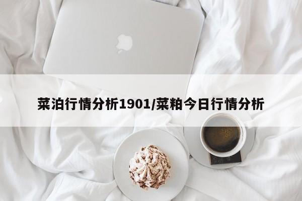 菜泊行情分析1901/菜粕今日行情分析